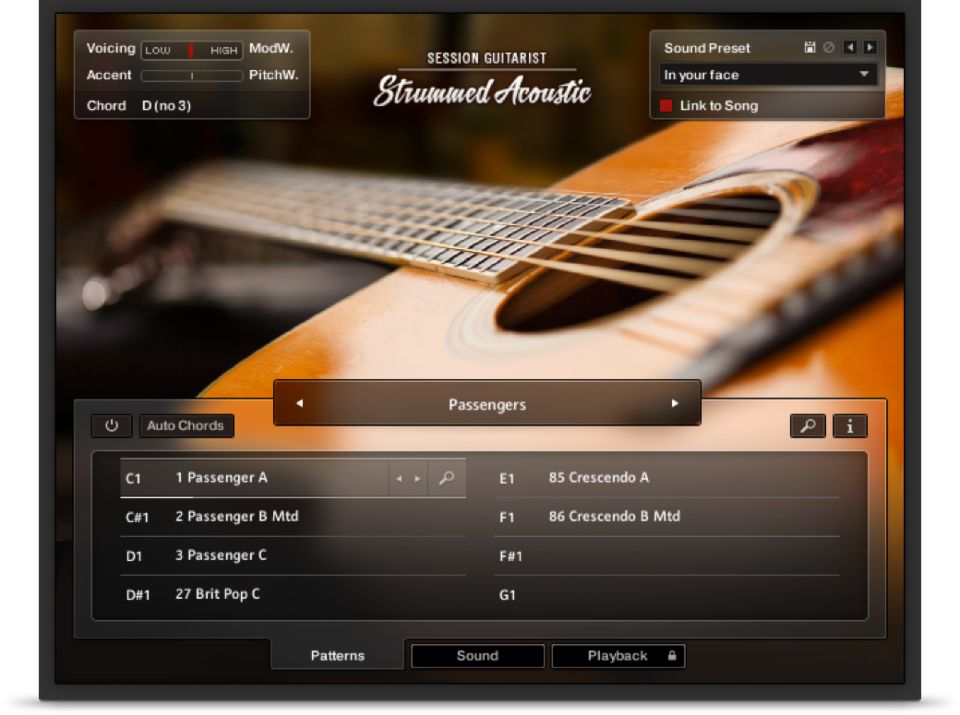 Native Instruments Strummed Acoustic